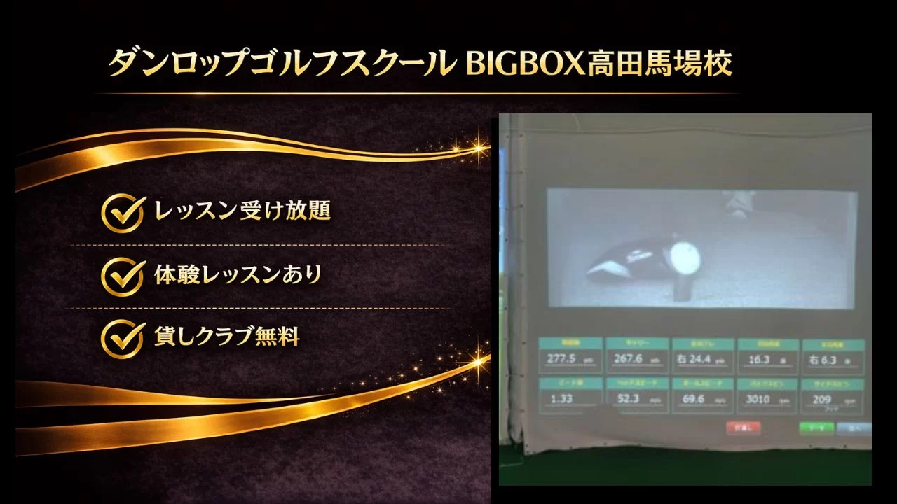 ダンロップゴルフスクールBIGBOX高田馬場校を解説