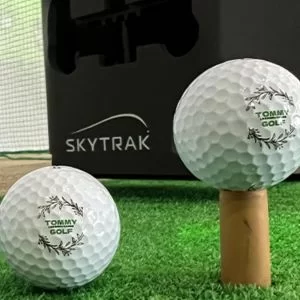 西宮北口駅周辺 TOMMY GOLF Lesson & Range