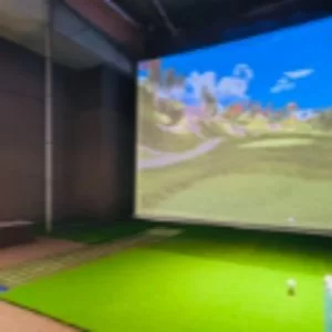 巣鴨駅周辺 SMART GOLF 駒込店